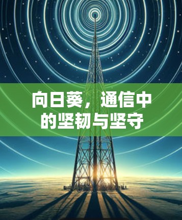 向日葵，通信中的坚韧与坚守