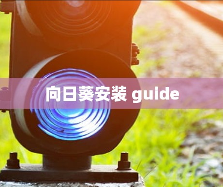 向日葵安装 guide