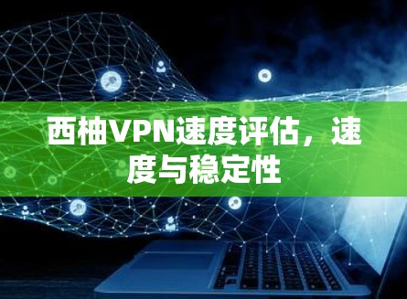 西柚VPN速度评估，速度与稳定性