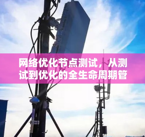 网络优化节点测试，从测试到优化的全生命周期管理