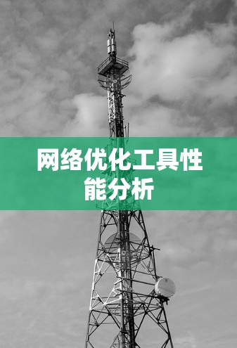 网络优化工具性能分析