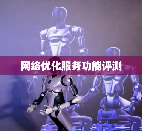 网络优化服务功能评测