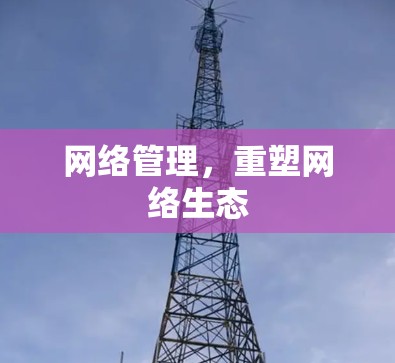 网络管理，重塑网络生态