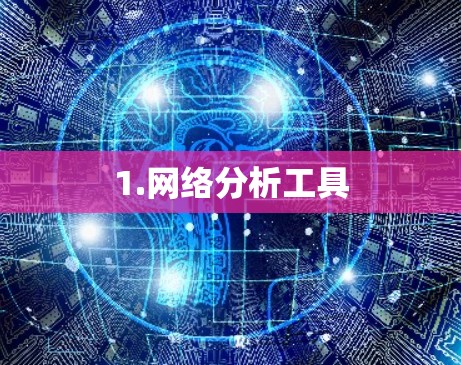 1.网络分析工具