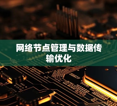 网络节点管理与数据传输优化