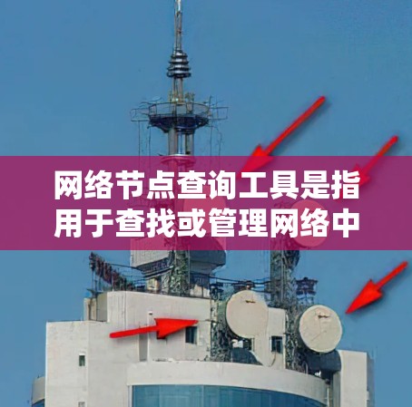 网络节点查询工具是指用于查找或管理网络中的节点设备，如路由器、交换机、服务器等的工具。以下是一些常用的网络节点查询工具