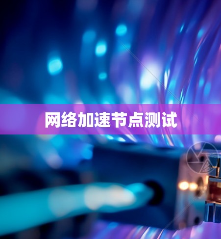 网络加速节点测试
