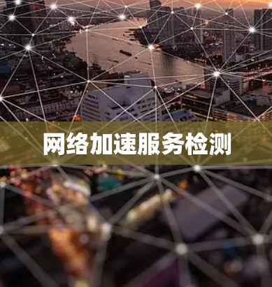 网络加速服务检测