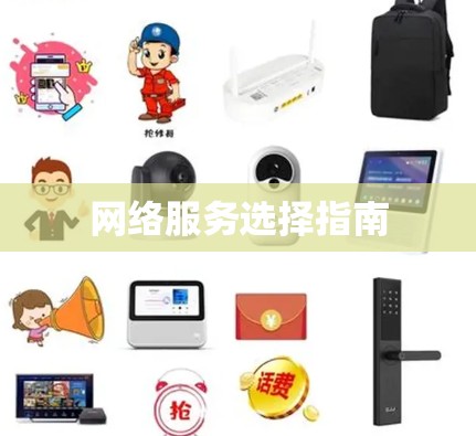 网络服务选择指南