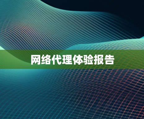 网络代理体验报告