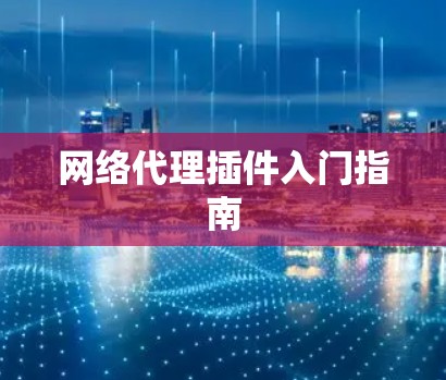 网络代理插件入门指南