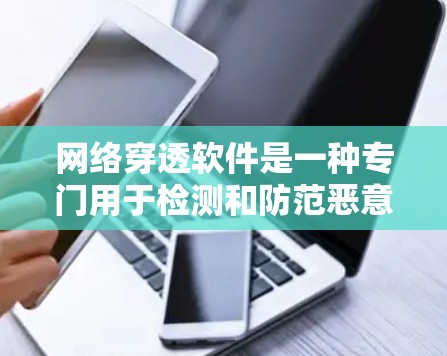 网络穿透软件是一种专门用于检测和防范恶意软件在公司网络上的扩散的软件工具。以下是针对网络穿透软件的详细分析和建议