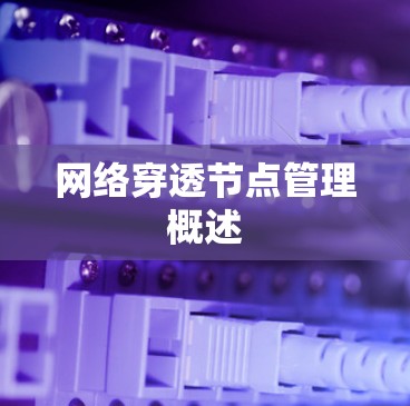 网络穿透节点管理概述