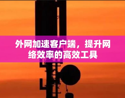 外网加速客户端，提升网络效率的高效工具